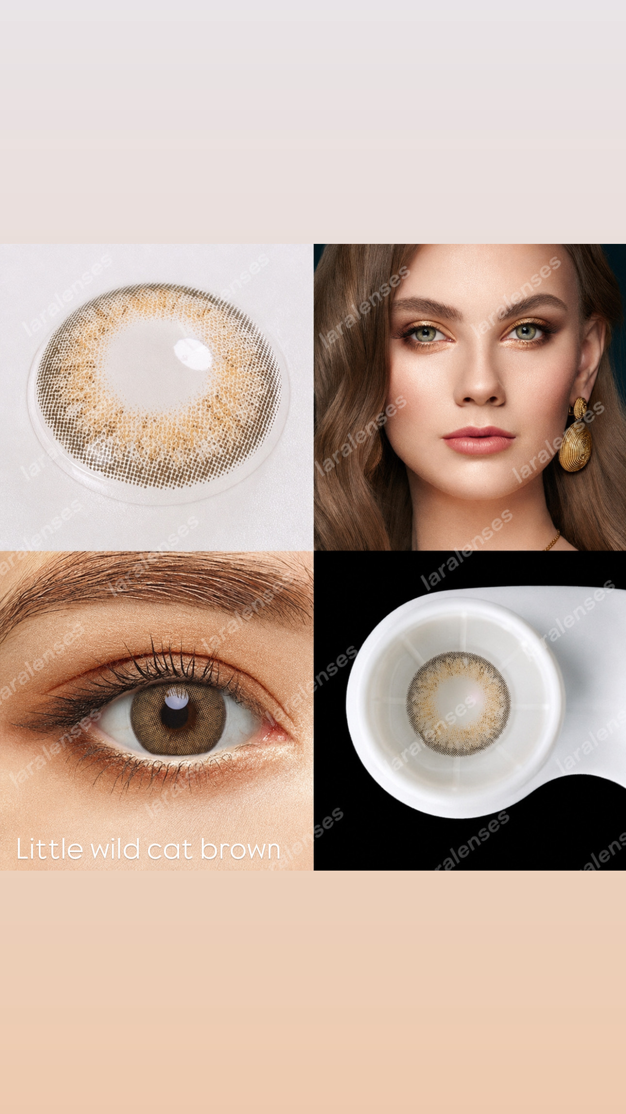 عدسات Little Wild Cat Brown