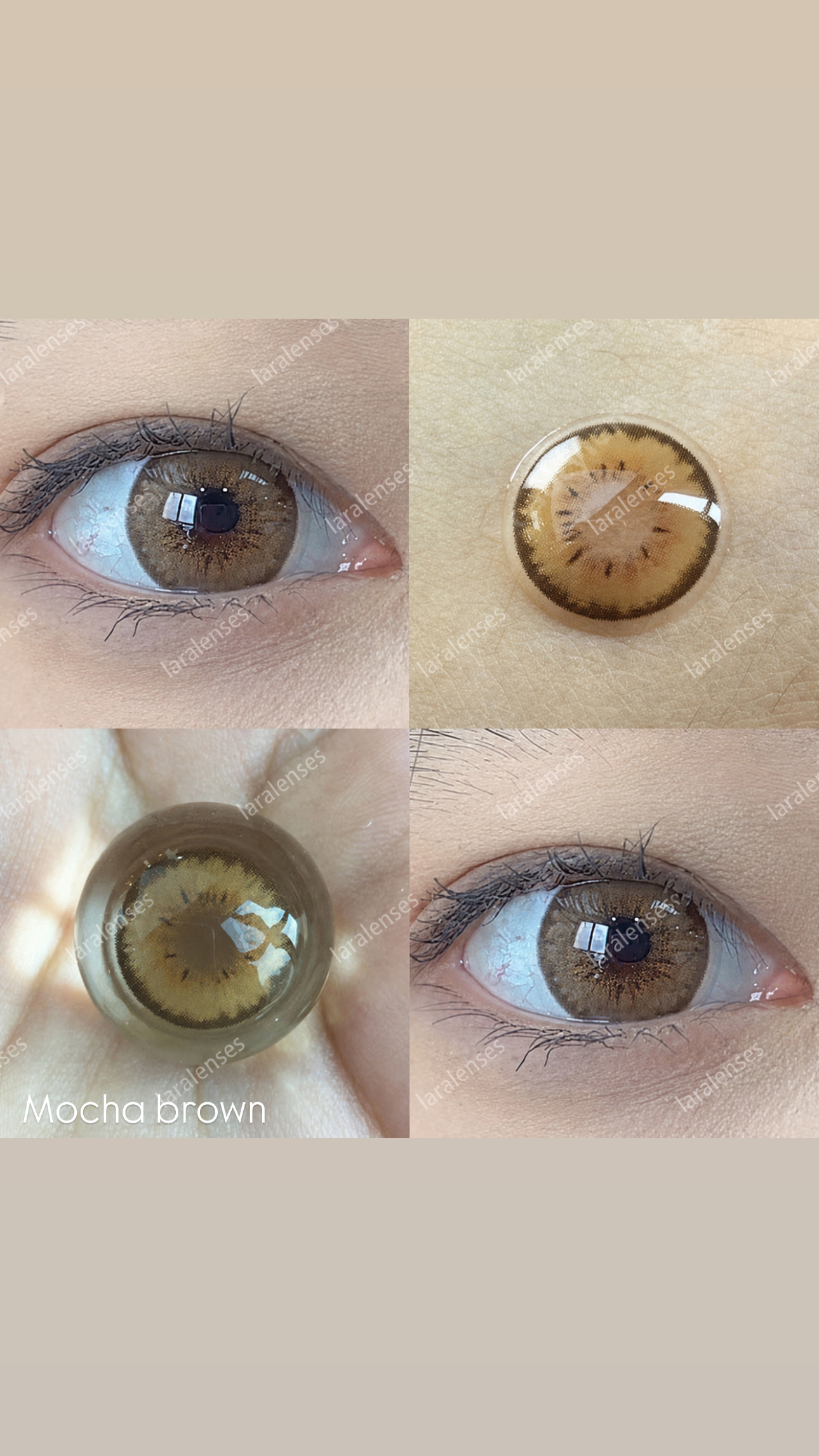 عدسات Mocha Brown